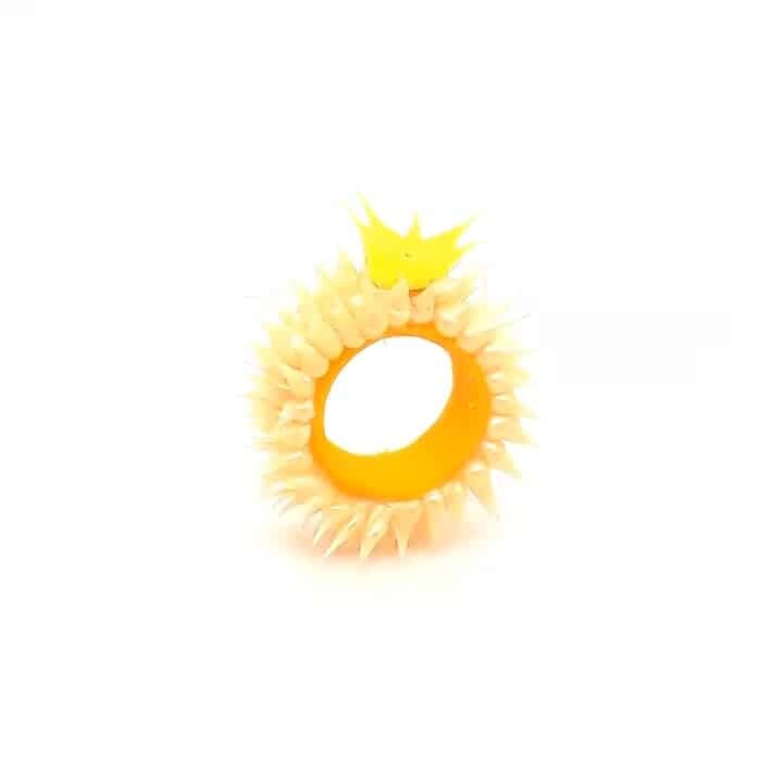 Schmuckdesigner > H bis P