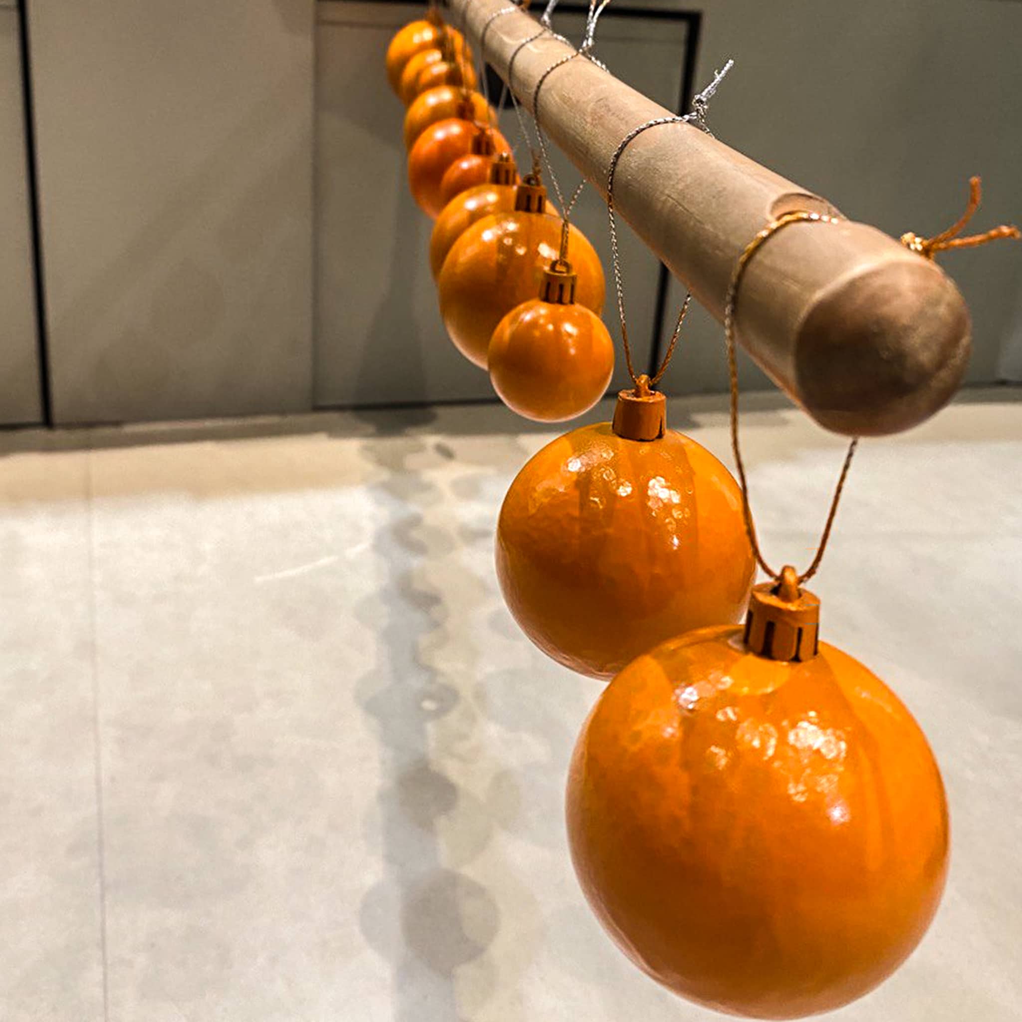 Ausstellungen >